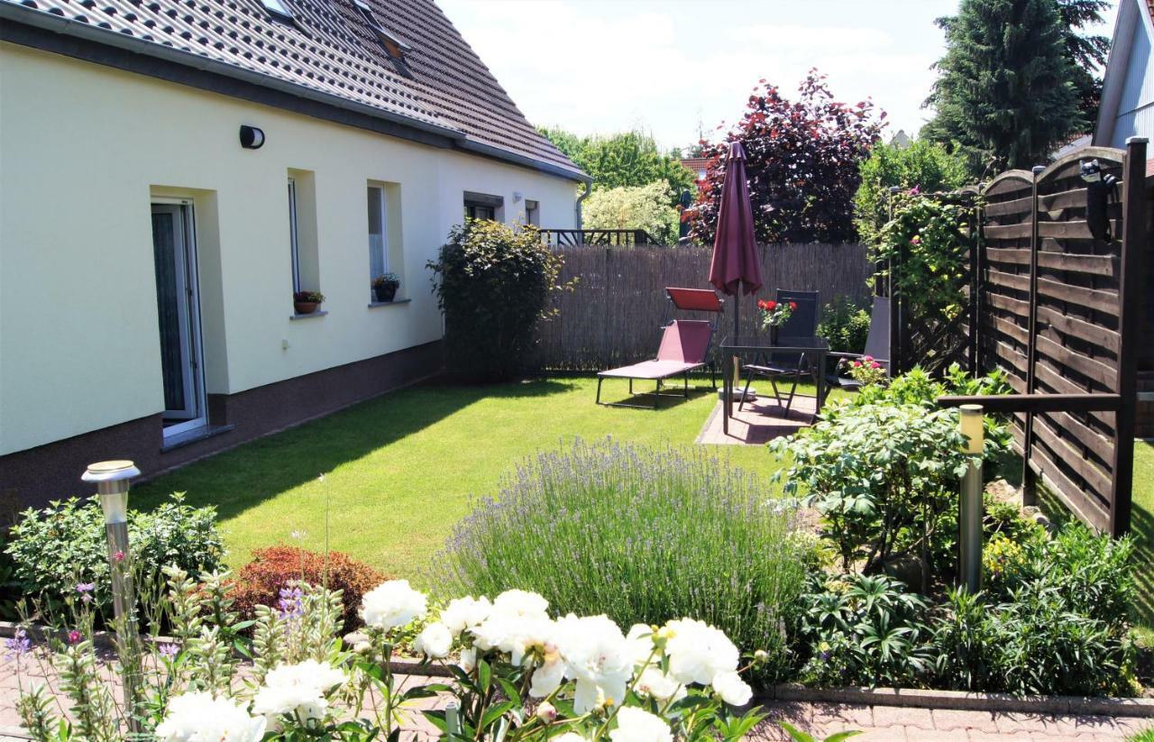 Ferienhaus Dora レヒリン エクステリア 写真